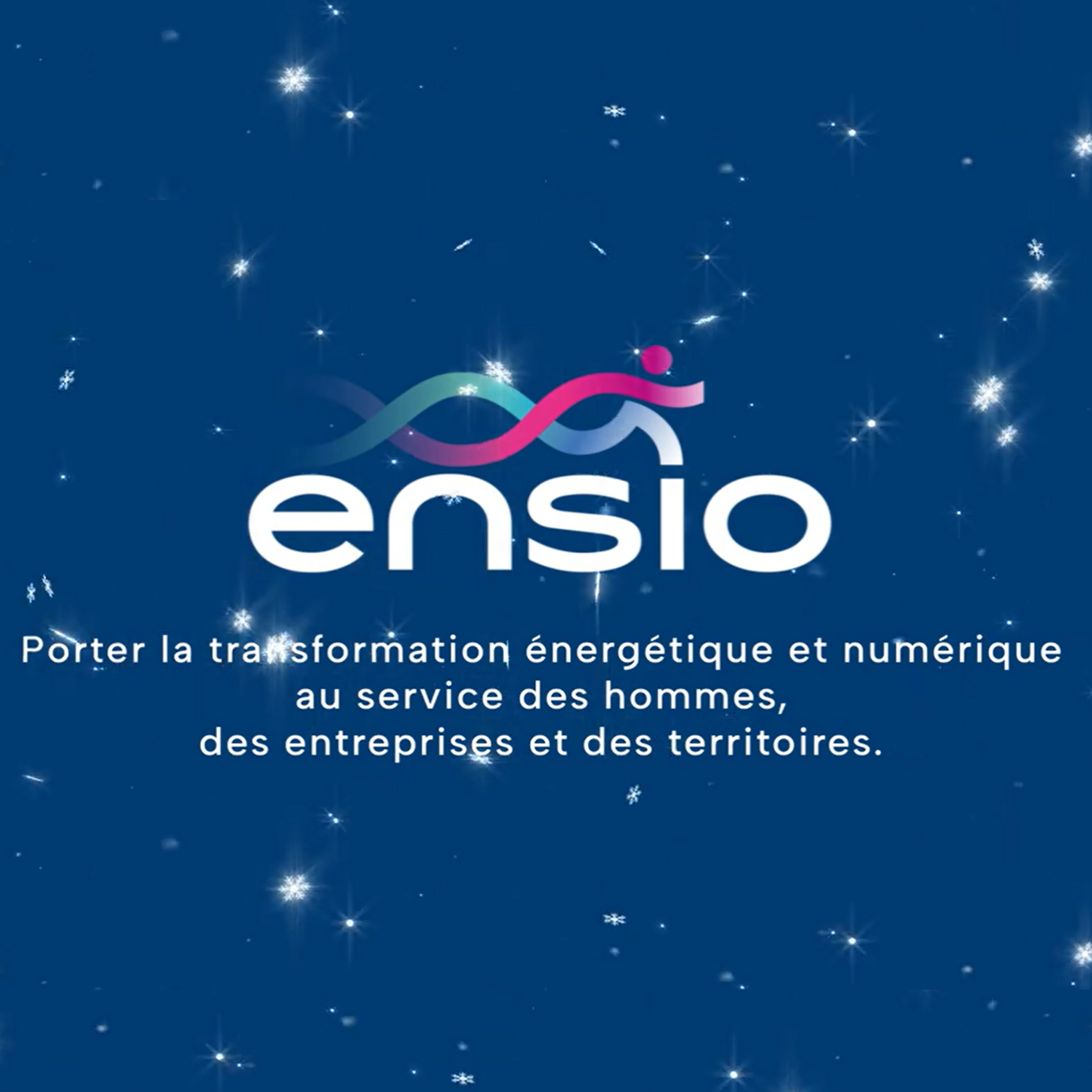 Logo Ensio OK2